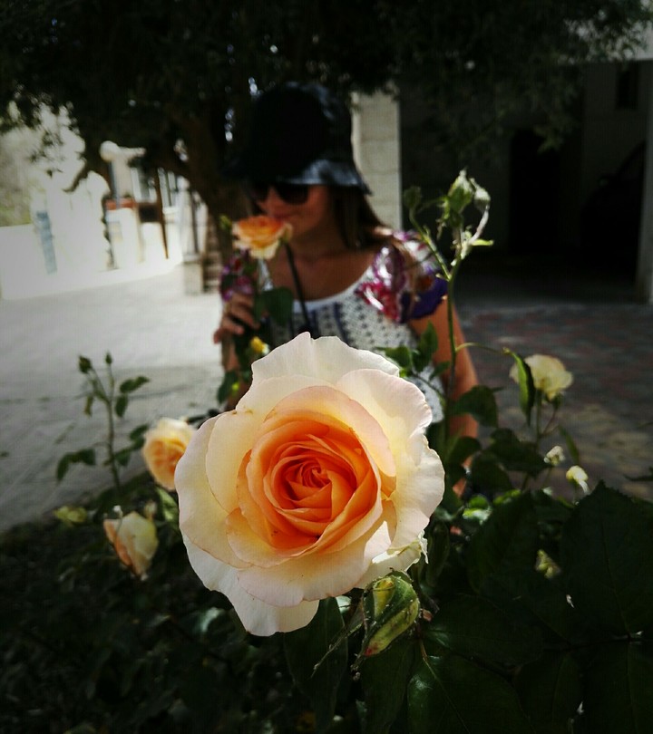 Flower Girl...