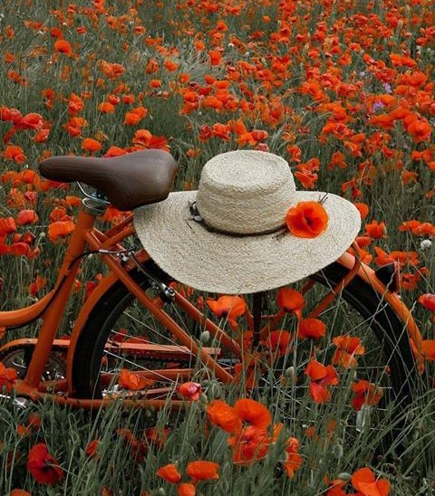 nice place