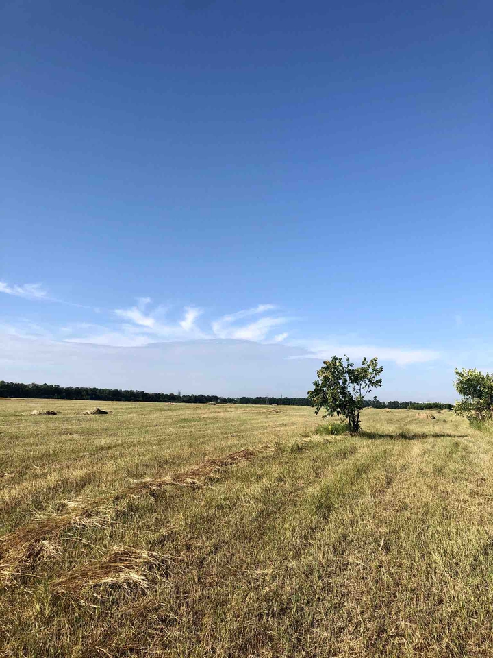 fields