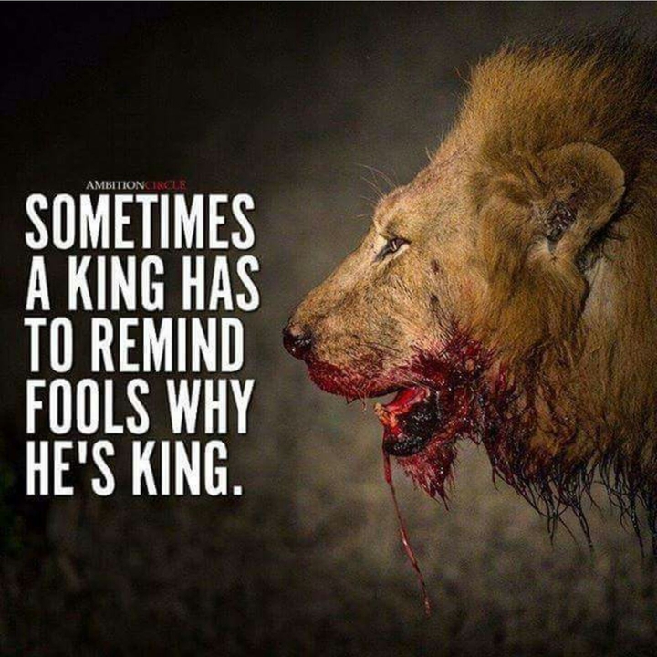Quotes