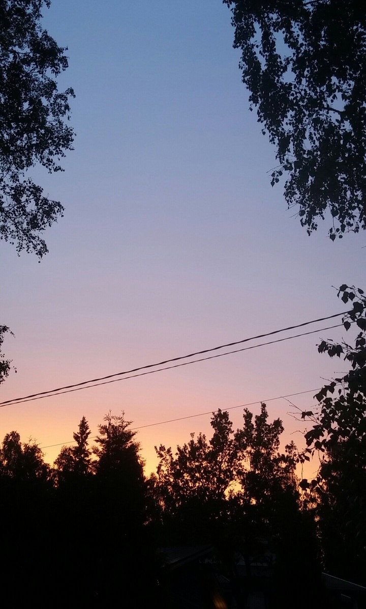Finnish summer