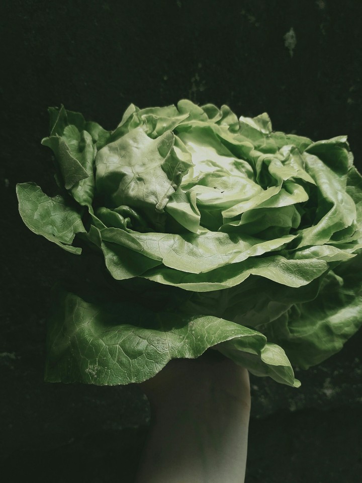 Vegetables