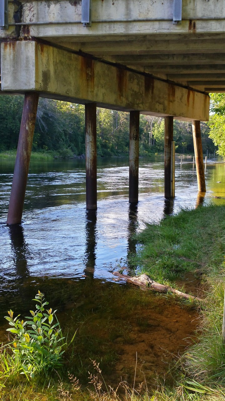 Under the Bridge