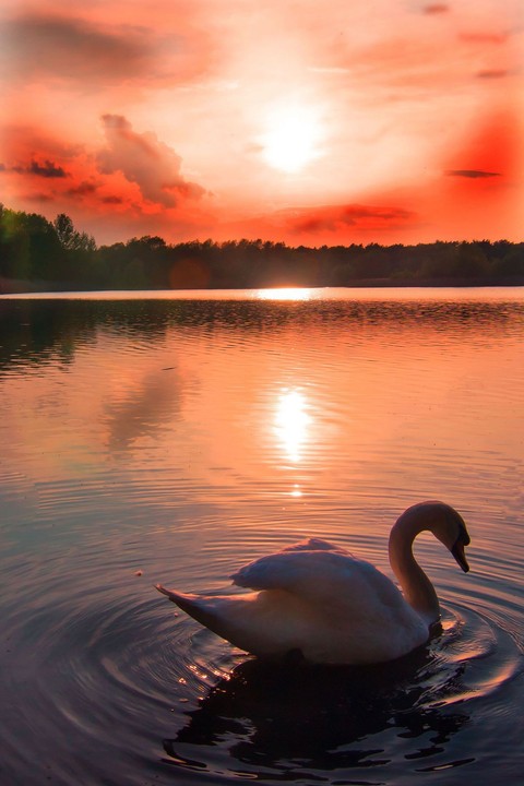 шпалери cloud, lake