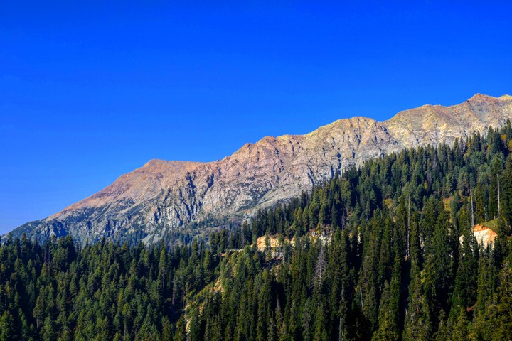 Simthan Top