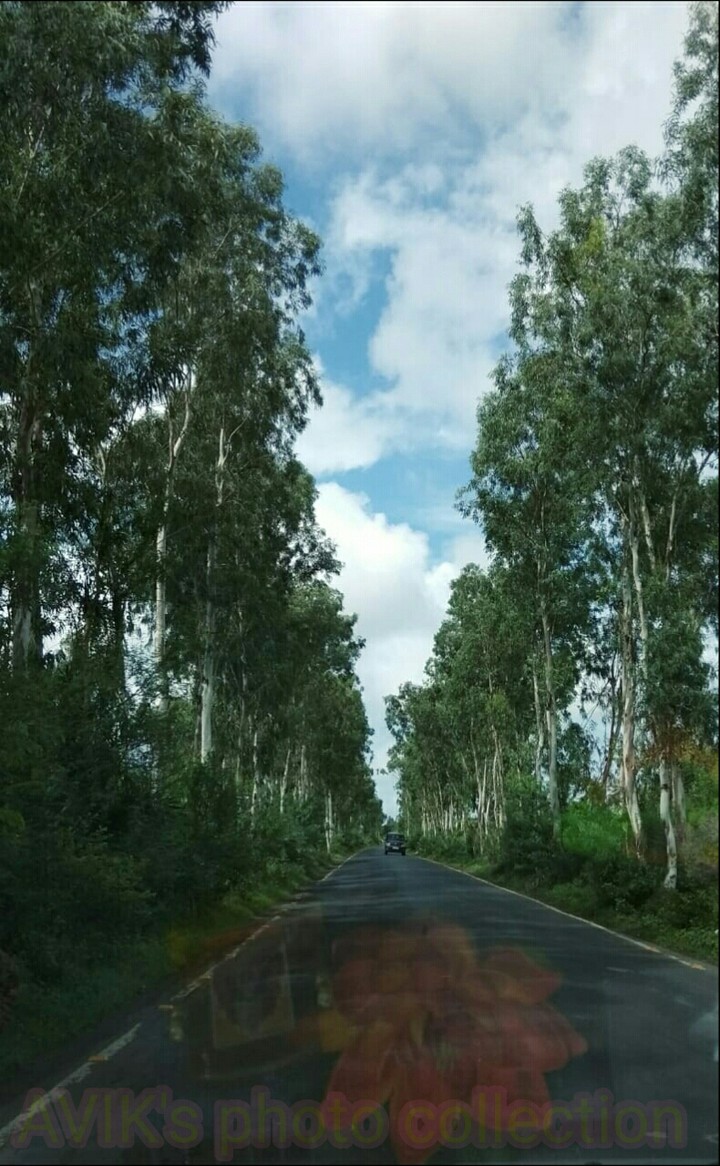 the nature