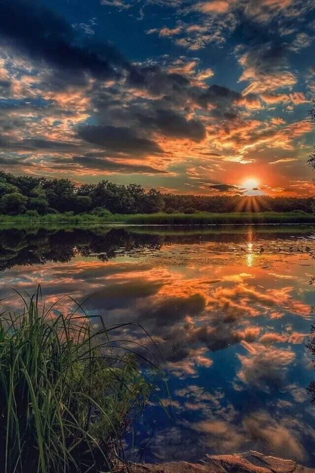 ***