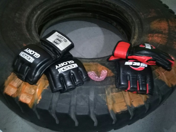 MMA Gloves