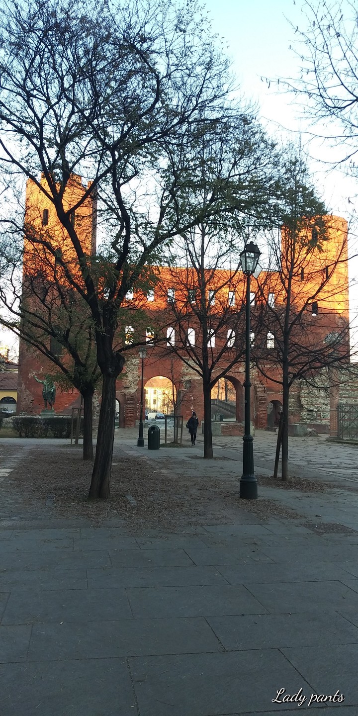 The town of Turin