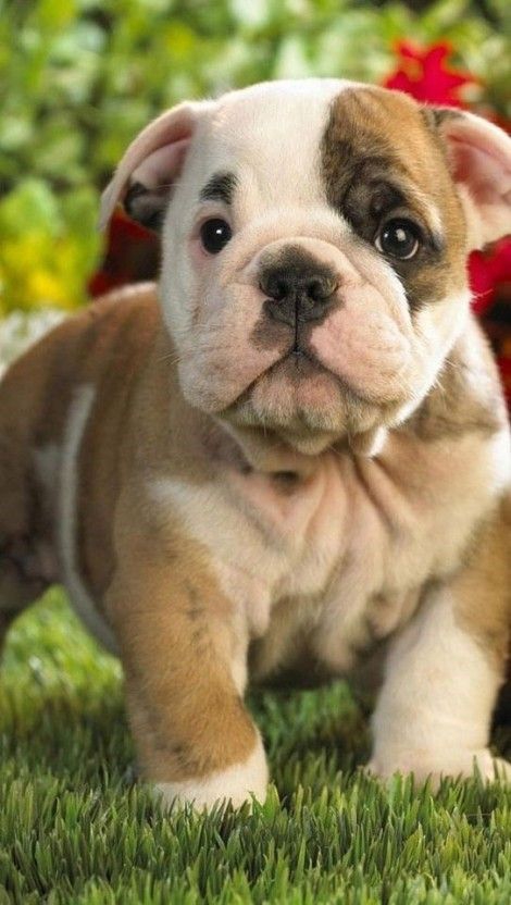 ♥