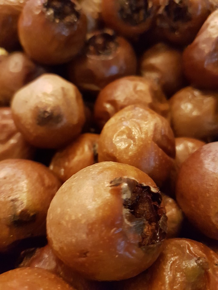 Fruit