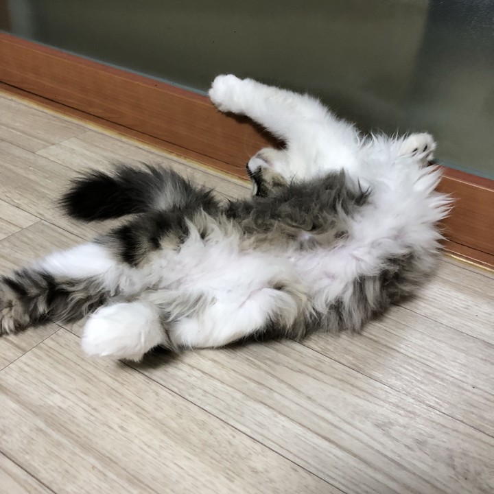 기지개