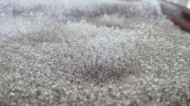 눈의 숲과 얼음의숲