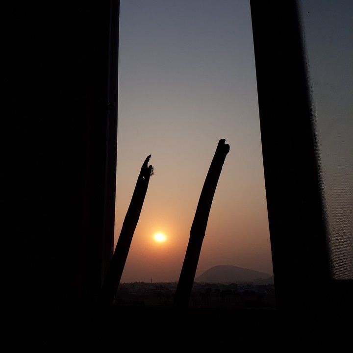 Reach the sun