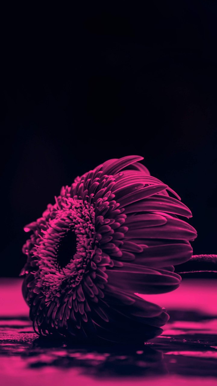 1060