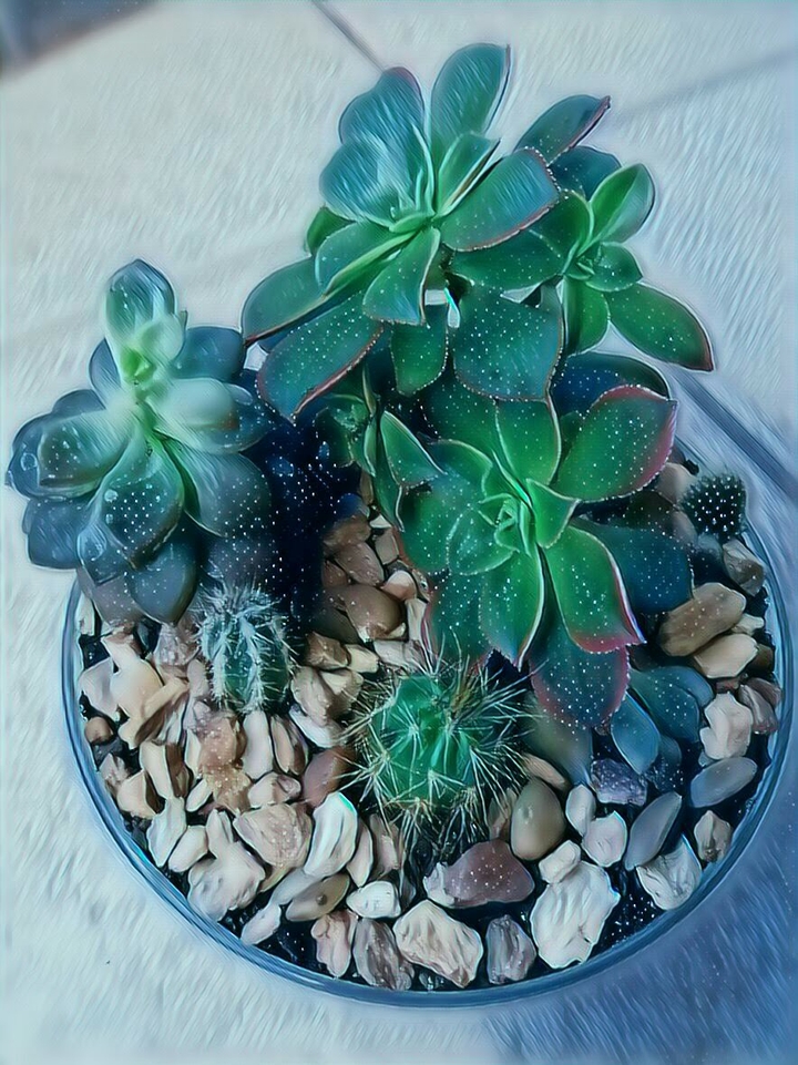 Mini Jardim