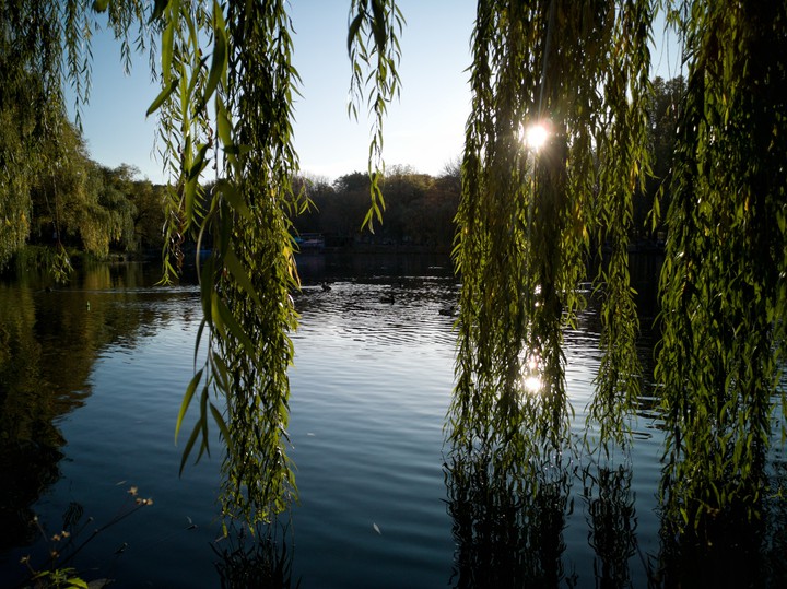 lake
