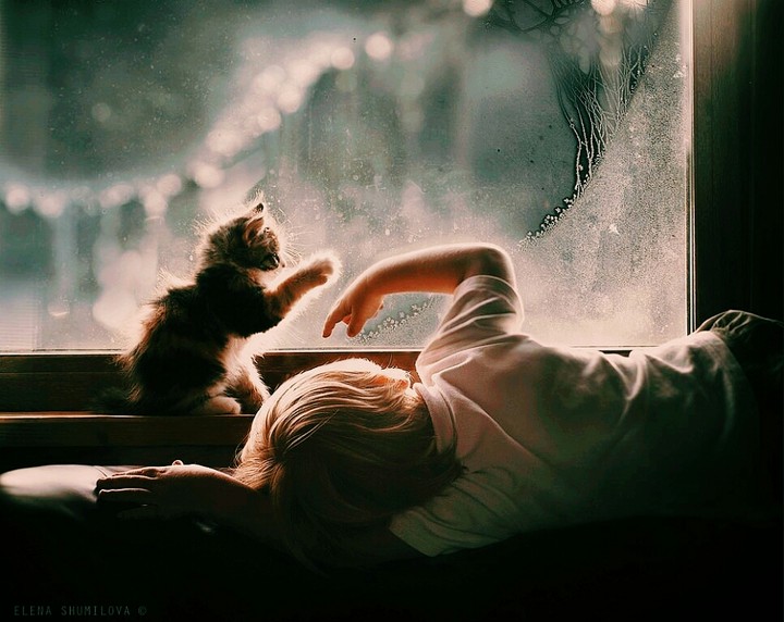 Sweet Home