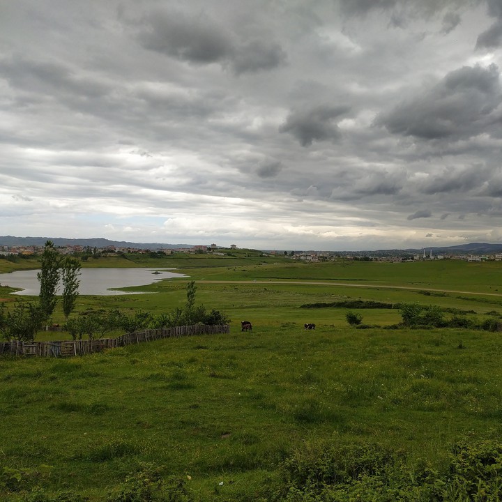 nature