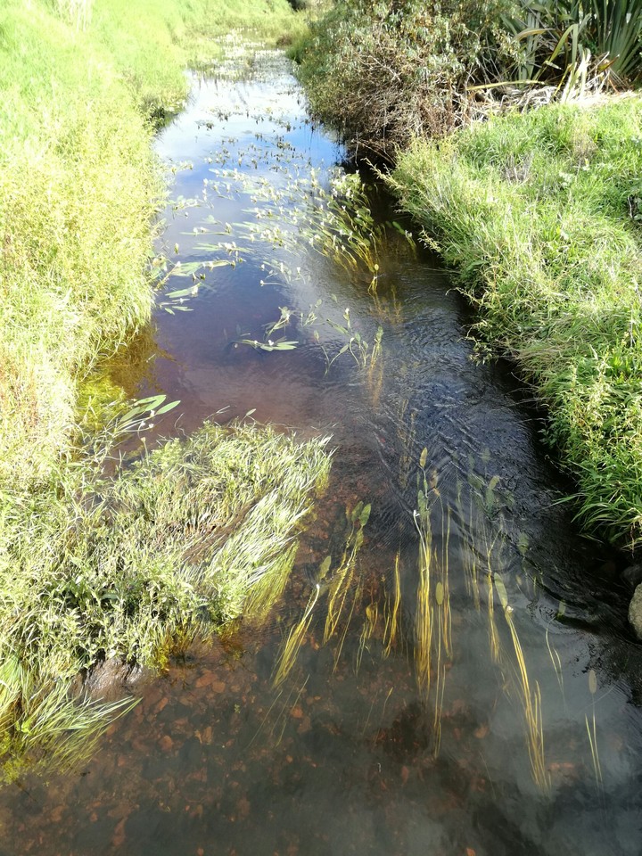 River of dreams