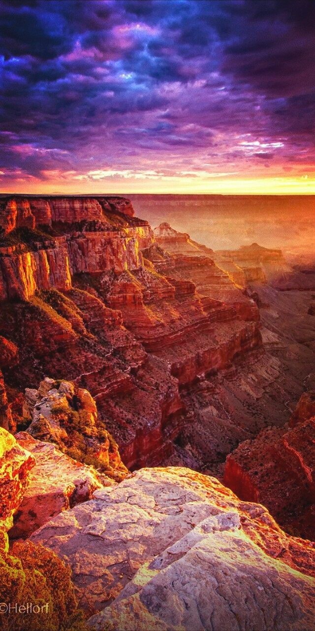 Nature
