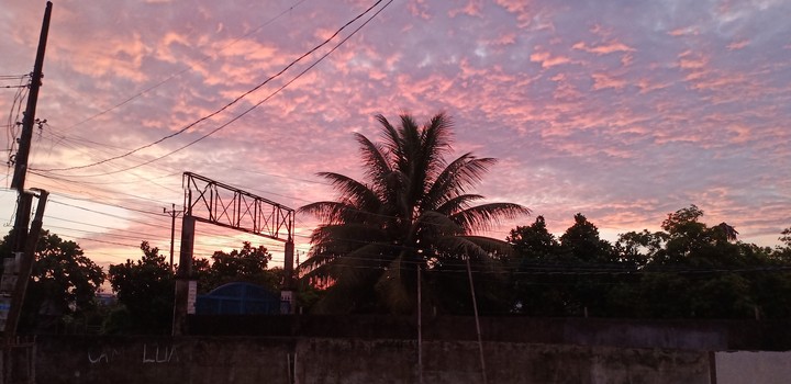 Camera Vivo v15 Good morning