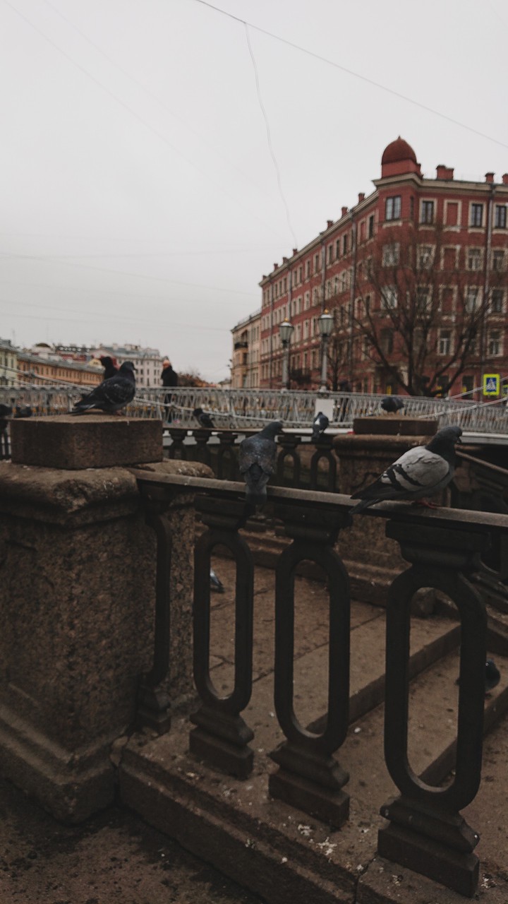 spb