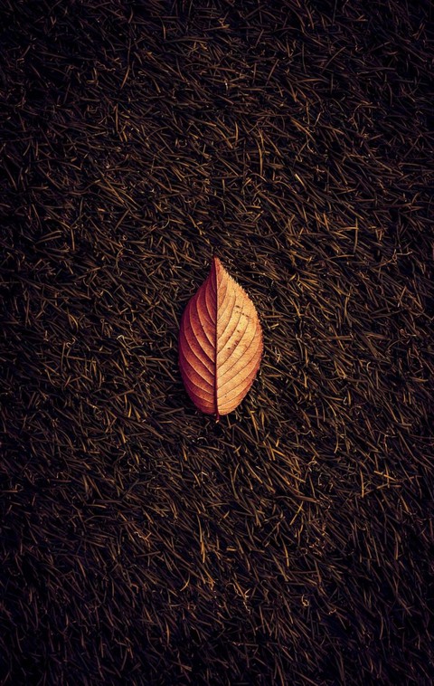 Sk hd wallpaper