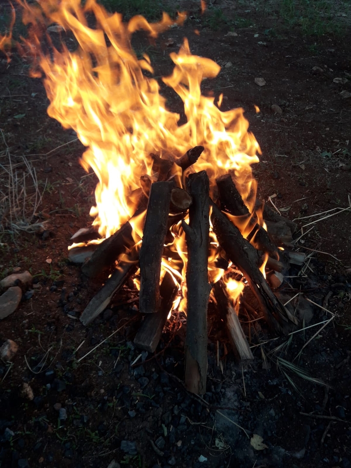Fire