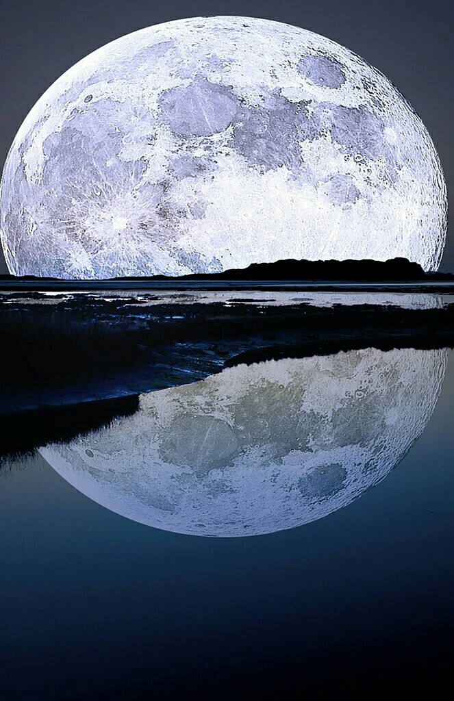 Art of nature