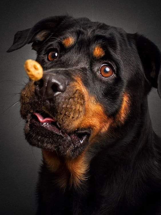 *