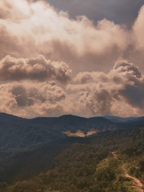 обои ecoregion, nature
