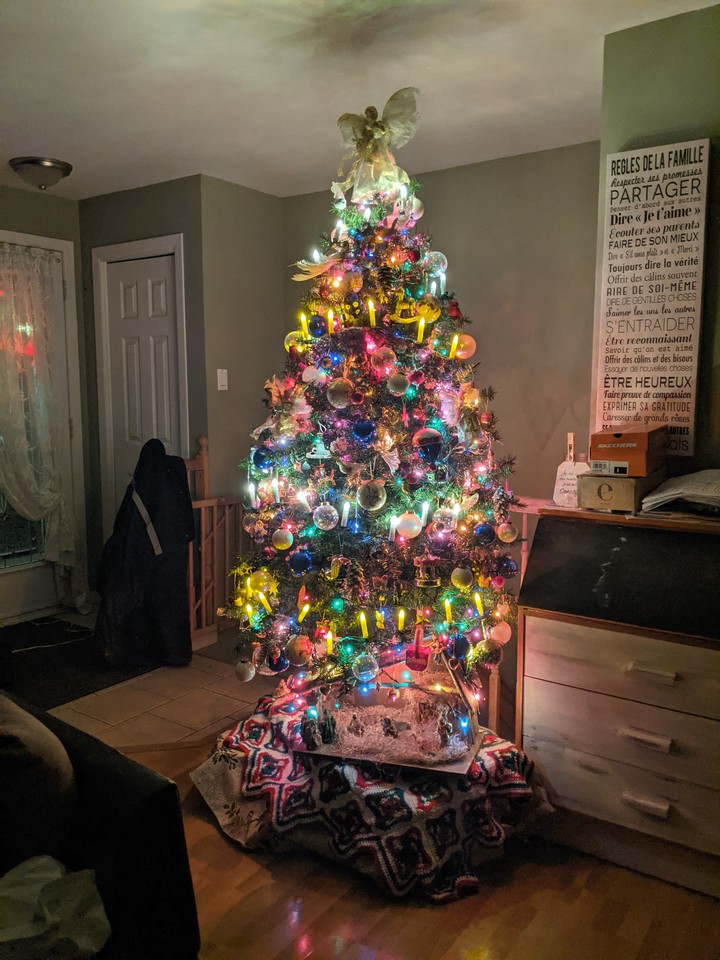 sapin 2020