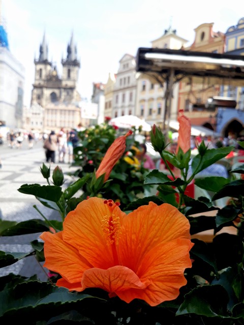 Prague
