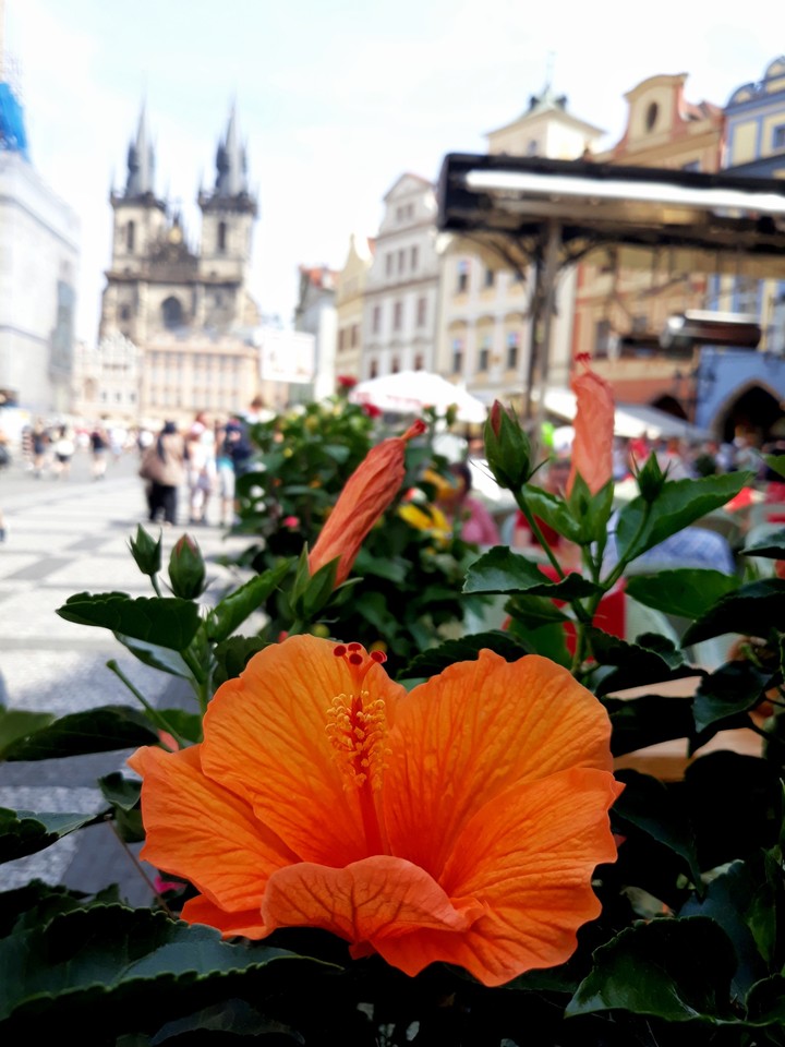 Prague