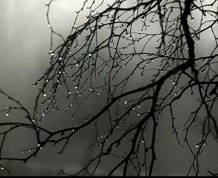 rain