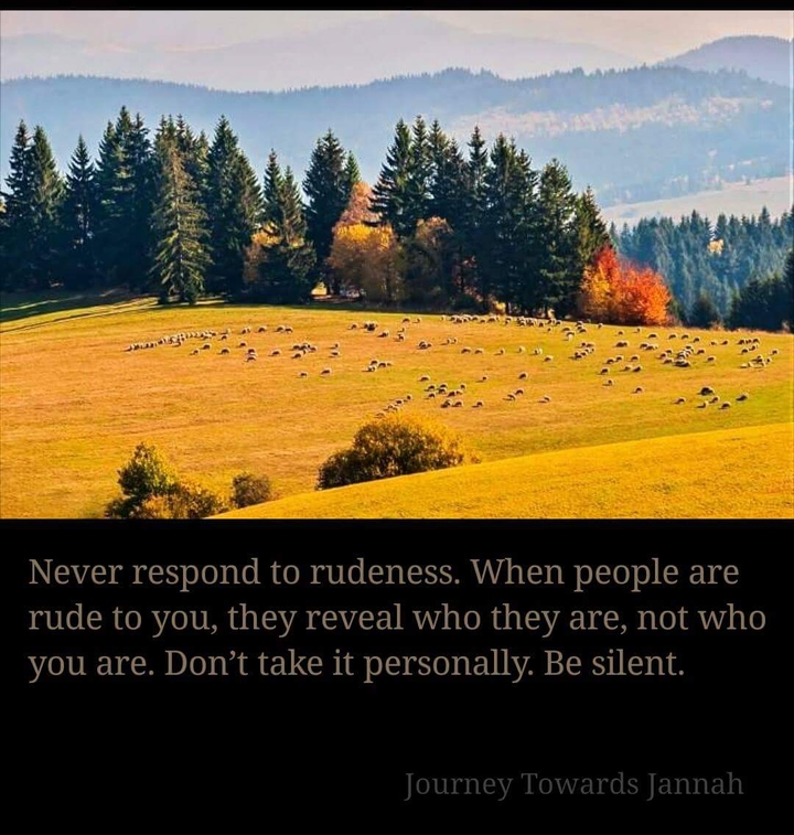 #quran #hijab #niqab #islam #islamic #muslimcouples #muslim
