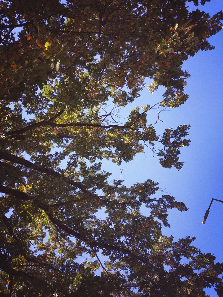 Park