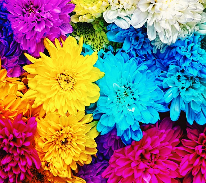 Bouquet of flowers