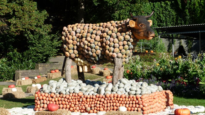 Kürbis Ausstellung Blühendes Barock Schloss Ludwigsburg 2012