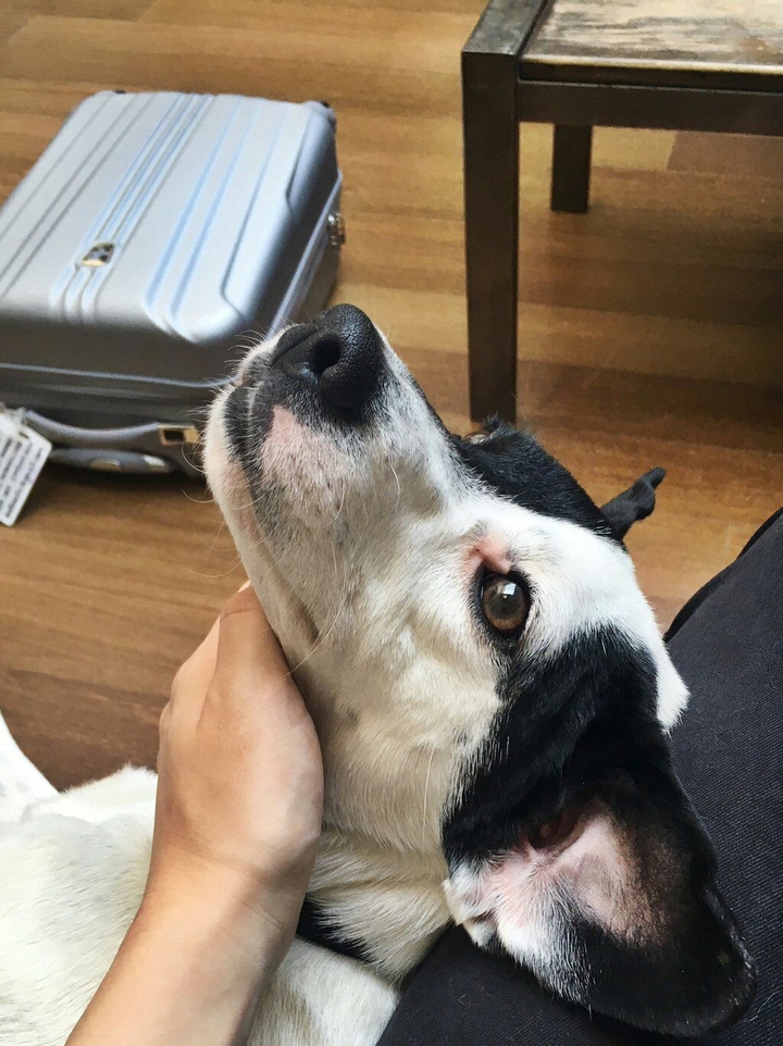 ♥♥♥