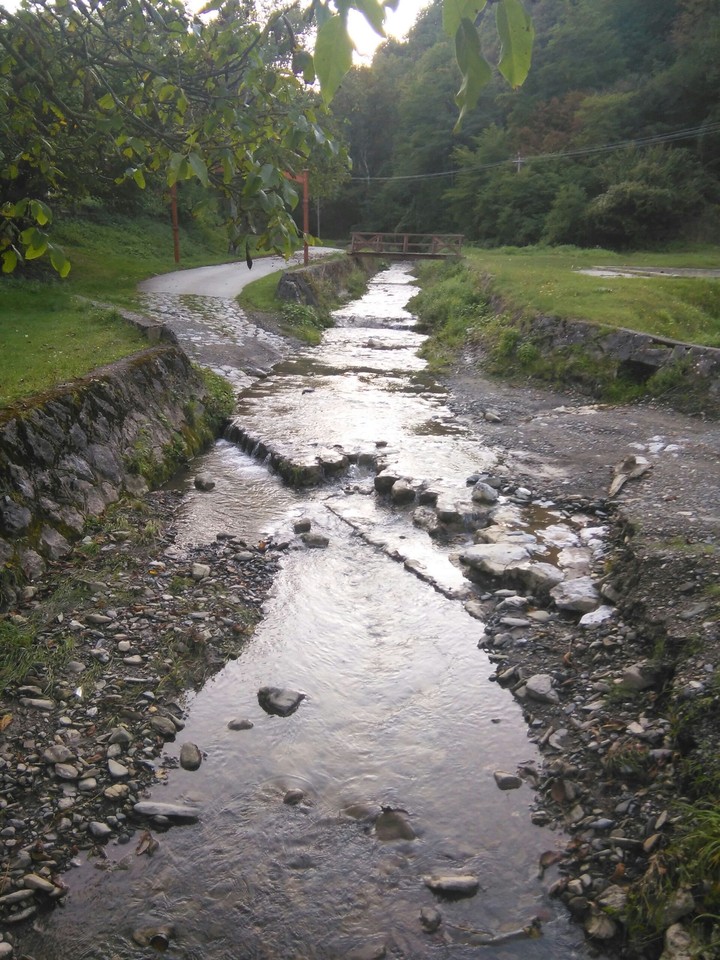 Reka