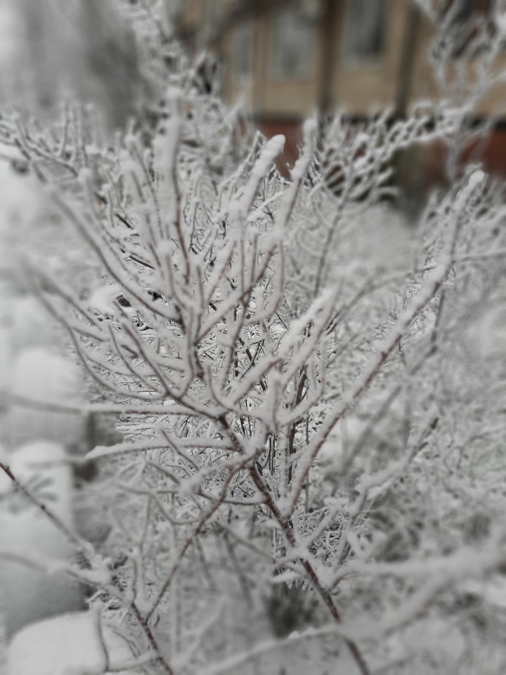 winter
