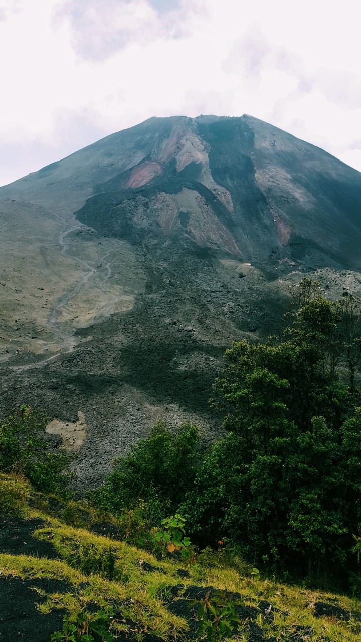 Pacaya volcano top