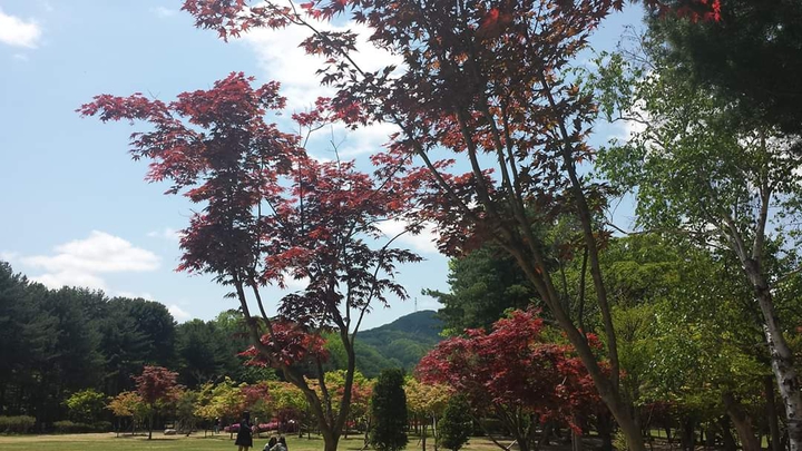 beauty of nature
