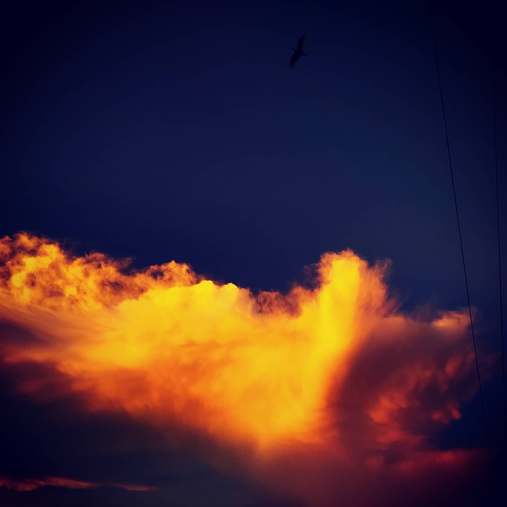 I captured by sunset