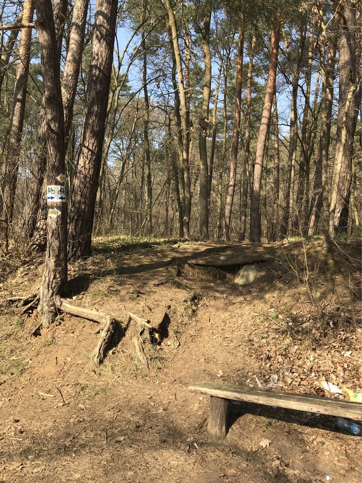 Trees