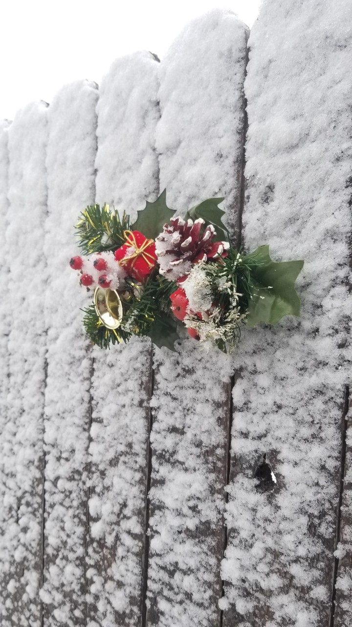 First Snow