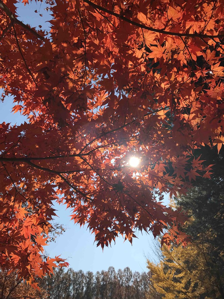 autumn