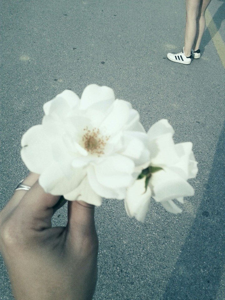 flower